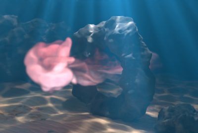 2023 Technical Papers: Yin_Fluid Cohomology