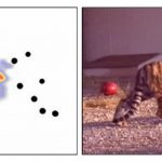 Lions and tigers and bears: investigating cues for expressive creature motion