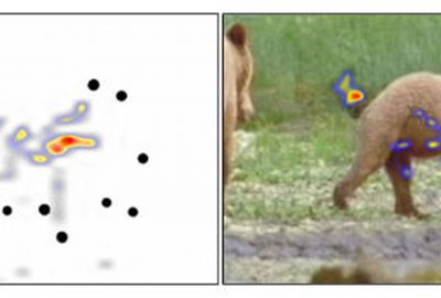 2010 Poster: McLendon Lions and Tigers and Bears: Investigating cues for expressive creature motion
