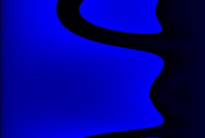 2010 Poster: Solt Artwork Evolution