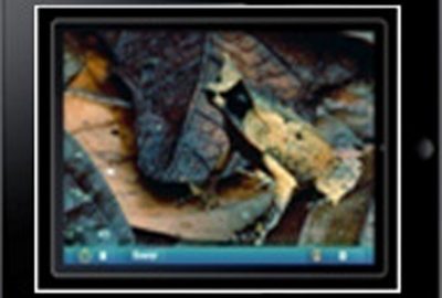 2010 Poster: Koushik iPad mini games Connected to an Educational Social Networking Website