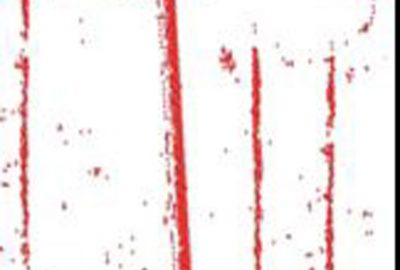 2010 Poster: Rasakatla Low Cost 3D perception sensors