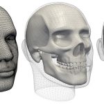 Automatic muscle generation for physically-based facial animation