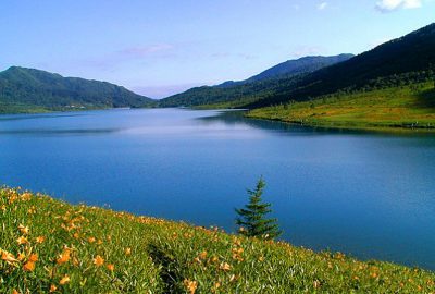 2010 Poster: Tomita Motion Texture Animation of Water Surface