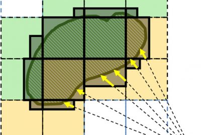 2012 Posters: Gavrilov_Advanced GPU-based Ray Casting for Bricked Datasets