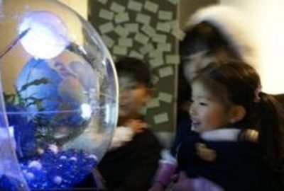 2012 Posters: Kato_world eco-tope