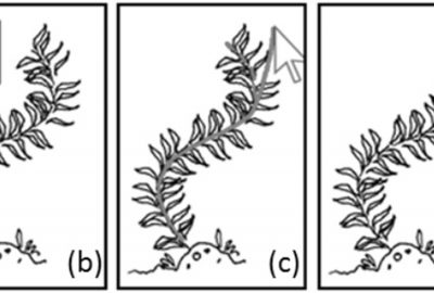 2012 Posters: Kazi_Vignette: A Style Preserving Sketching Tool for Pen-and-Ink Illustration with Texture Synthesis