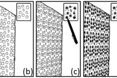 2012 Posters: Kazi_Vignette: A Style Preserving Sketching Tool for Pen-and-Ink Illustration with Texture Synthesis