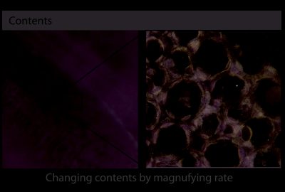 2012 Posters: Kitazawa_NanoAR: Mobile AR Application with Microscopic Interaction