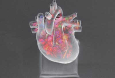 2012 Posters: Sato_Micro Sized Art "The Weight of Life"