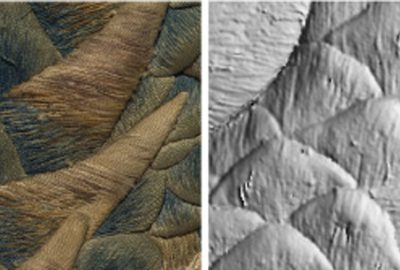 2012 Posters: Wakita_High-definition and Multispectral Capturing for Digital Archiving of Large 3D Woven Cultural Artifacts