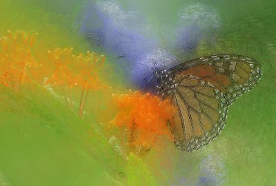 2012 Posters: Wang_Turning Photographs into Abstract Expressionist Paintings