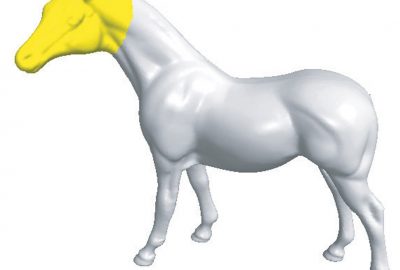 2005 Poster: Furukawa Volume based Mesh Editing Using Cylindrical Parameterization