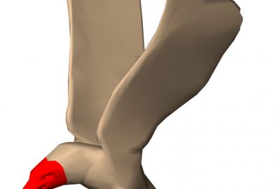 2005 Poster: Popa Material Aware Mesh Deformations