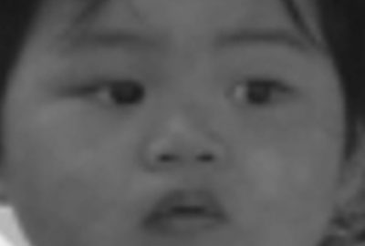 2005 Poster: Kamimura Real time texton substitution for super resolution