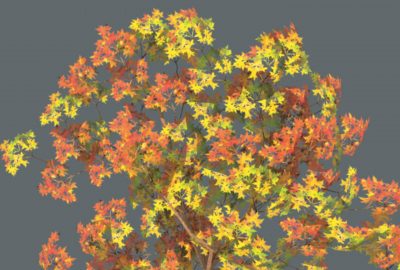 2005 Poster: Mochizuki Stealing Autumn Colors