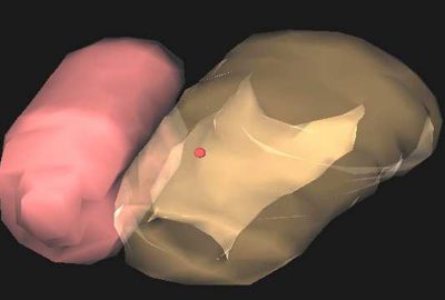 2005 Poster: Kuroda Design and Implementation of MVL: Medical VR Simulation Library