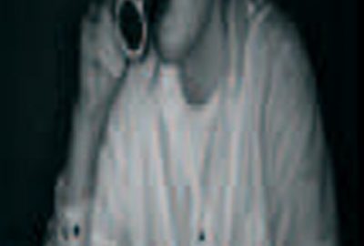 2005 Poster: Todt Real Time Fusion of Range and Light Field Images