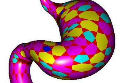 2005 Poster: Kim Realtime Loop subdivision on the GPU