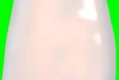 2010 Poster: Shetty A Physical Rendering Model for Human Teeth