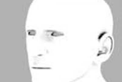 2010 Poster: Hattori Curvature Depended Local Illumination Approximation of Ambient Occlusion