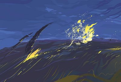 2020 Immersive Pavilion: Niederhauser_Metamorphic: A Social VR Experience