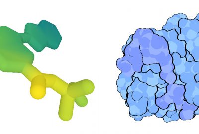 2020 Immersive Pavilion: O’Connor_Narupa iMD: A VR-Enabled Multiplayer Framework for Streaming Interactive Molecular Simulations