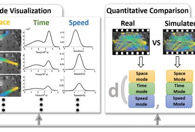 2020 Poster: He_Informative scene decomposition for crowd analysis, comparison and simulation guidance