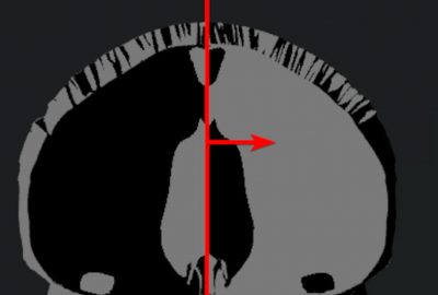 2021 Immersive Pavilion: Jang_BodyMap