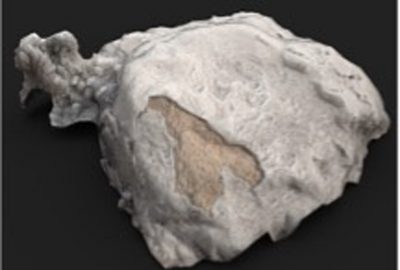 2021 Immersive Pavilion: Shanit_Once Upon a Sea: A poetic, interactive XR documentary