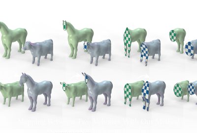 2023 Technical Papers: ABULNAGA_Symmetric Volume Maps: Order-invariant Volumetric MeshCorrespondence with Free Boundary