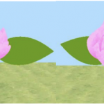 A 3-D flowering simulation based on botany characteristics and random generation algorithm