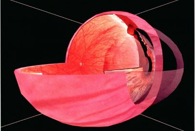 1994 Immersive Pavilion: Neumann_The Virtual Eye