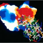 Molecular Recognition in Protein-Protein Association