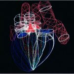 3D Hydrodynamic Model of the Heart