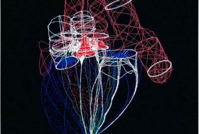 1994 Immersive Pavilion: Peskin_3D Hydrodynamic Model of the Heart