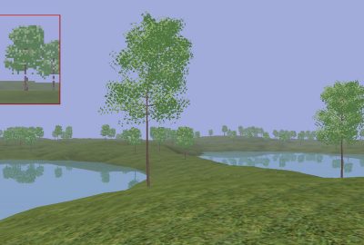 2003 Talks: Bærentzen_From Layered Depth Images to Continuous LOD Impostors