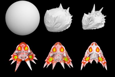 2003 Talks: Hodges_Visualizing Horn Evolution by Morphing High-resolution X-ray CT Images