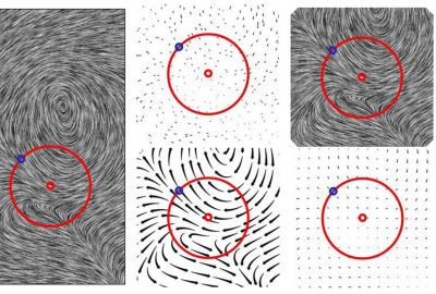 2003 Talks: Jackson_Designer-critiqued Comparison of 2D Vector Visualization Methods: A Pilot Study