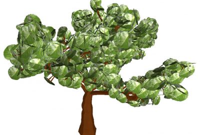 2003 Talks: Okabe_3D Modeling of Trees from Freehand Sketches