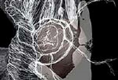 2003 Talks: Shirvanee_The ViscousDisplay: Adaptive Transient Interfaces in Public Space