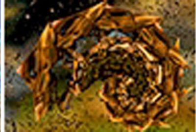 2003 Talks: Simó_A Horizontal Stereoscopic Projection System for Working at the Artist Studio & Mimesis, the Function that Made the Organ