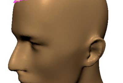 2003 Talks: Zelinka_Mesh Modelling with Curve Analogies