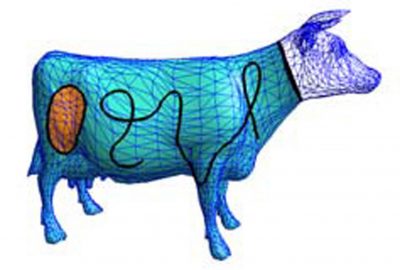 2006 Poster: Morera Geodesic B ́ezier Curves on Triangle Meshes