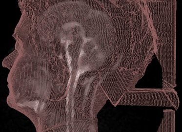 2006 Poster: Nilufar_Integrated 4D Visualization of MRI and Structure1