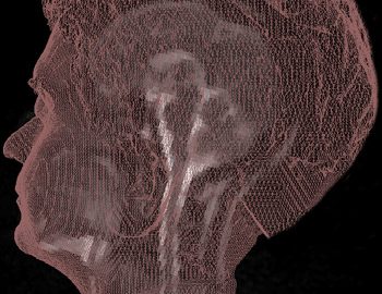 2006 Poster: Nilufar_Integrated 4D Visualization of MRI and Structure1