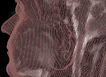 2006 Poster: Nilufar_Integrated 4D Visualization of MRI and Structure1