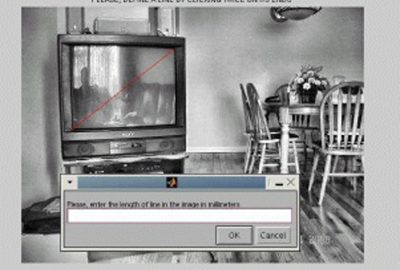 2006 Poster: Potapovich Morphological Segmentation and Delaunay Triangulation for Mesh from Stereo1