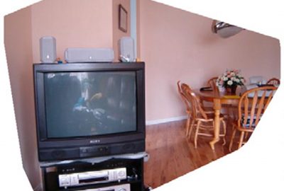 2006 Poster: Potapovich Morphological Segmentation and Delaunay Triangulation for Mesh from Stereo1