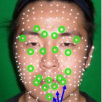 Facial animation by the manipulation of a few control points subject to muscle constraints